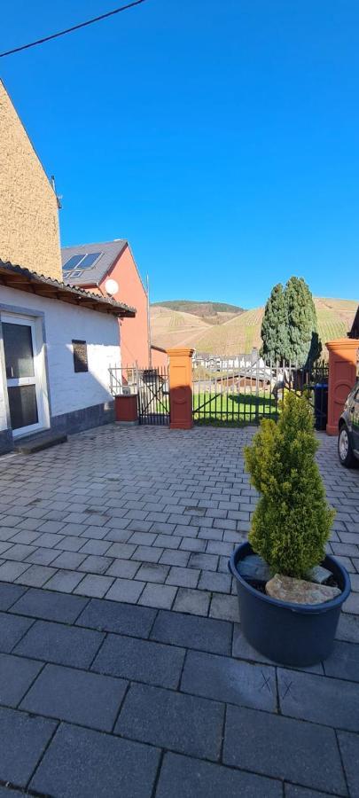 Ferienhaus Schnitzius Kinheim Bagian luar foto